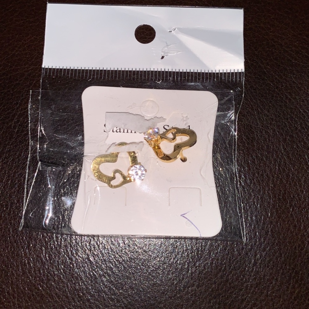 Stainless steel earrings